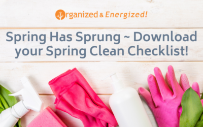 Spring Has Sprung ~ Download your Spring Clean Checklist!