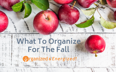 What To Organize For The Fall